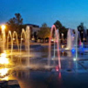 Meet your Posher, Henry